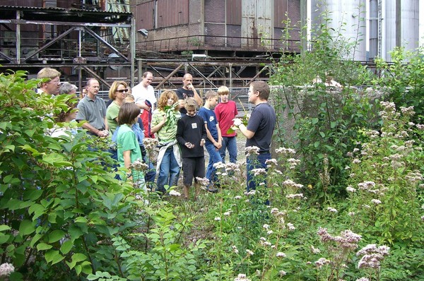 Besucher erkunden die Flora und Fauna der Henrichshütte.