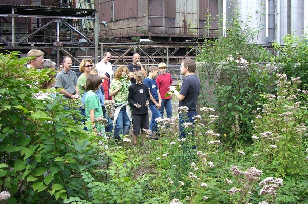 Besucher erkunden die Flora und Fauna der Henrichshütte.