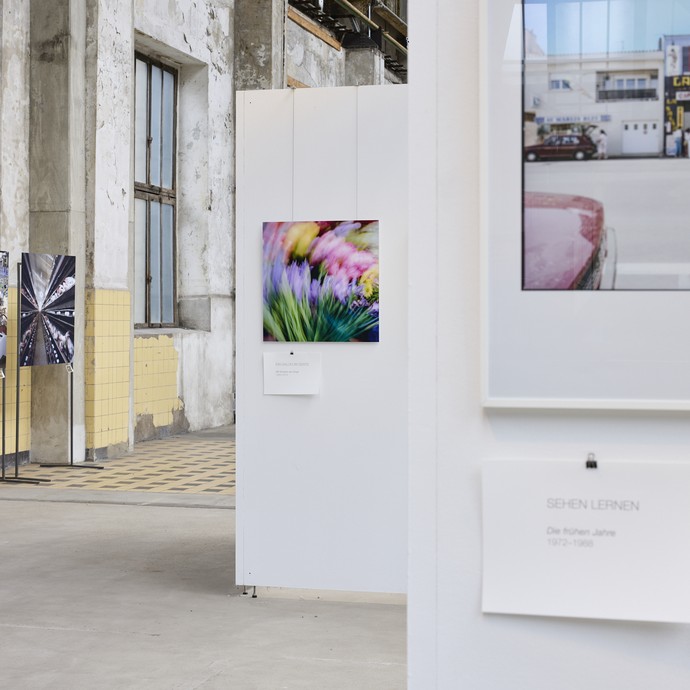 Verschiedene ausgestellte Fotografien der Ausstellung (vergrößerte Bildansicht wird geöffnet)