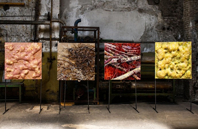 4 quadratische, farbige Kunstwerke vor dunkler Wand.
