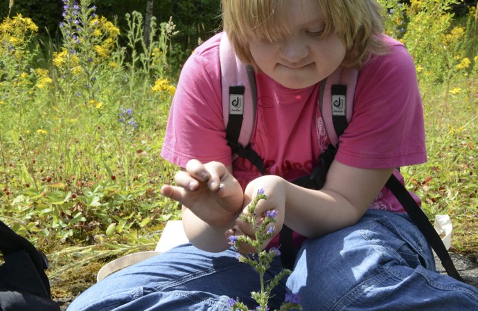 Ein Mädchen sitzt im Sonnenschein und betrachtet eine Pflanze.