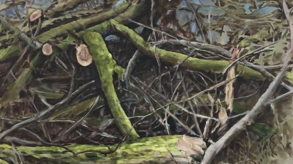 Ein Werk der Ausstellung, gemalter Waldboden mit Ästen und dünnen Zweigen